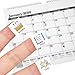 Calendar Stickers for Planners - 702 Square Stickers, Includes Birthday, Stars, Arrows, Payment, Reminders and More - 6 Sheets, 22 Unique Designs for Planners, Agendas, Appointment Book