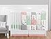 Sweet Jojo Designs Coral, Mint & Grey Woodsy Deer Girls Baby Bedding Crib Set, White & Gold, 3 lb, 11 Piece