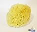 Natural Sea Sponge SEA NATURE BRAND 5-6 Grada Type for Home Cleaning or Body Bath ideal for Baby Bathing and Face Cleaning Guaranteed
