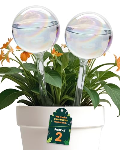 PlanKKers Iridescent Glass Watering Globes