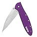 Kershaw Leek Purple Folding Knife (1660PUR); 3" Bead-Blasted High-Performance Sandvik 14C28N Steel Blade, Purple Anodized Aluminum Handle, SpeedSafe Assisted Opening, Liner and Tip Lock Slider, 2.4 OZ primary
