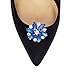 Crystal Rhinestone Shoe Clips - Amanda