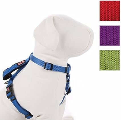 Amazon Com Kong Comfort Dog Harness And Traffic Loop Size X