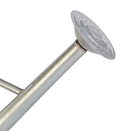 2 gallon Vintage Galvanized Watering Can with Wood Handle