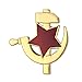 Gudeke CCCP Soviet USSR Red Star Hammer Sickle Lapel Pin Badge Gold