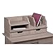 Bush Furniture Key West Desktop Organizer with Drawers, Desk Drawers and Monitor Stand for Home Office