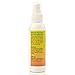 Shoe Deodorizer Citrus! Spray - Foot Deodorant & Odor Elimination - Wonderful Citrus Scent