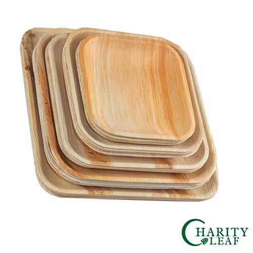 Charity Leaf 8" Disposable Palm Plate With Knife And Fork Bamboo Like Square Plates | All Natural, Biodegradable and Chemical Free | Weddings, BBQs, and Parties (25 Plates, 25 Forks, and 25 Knives)