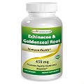 Shop Best Naturals Echinacea &goldenseal Root 450 mg