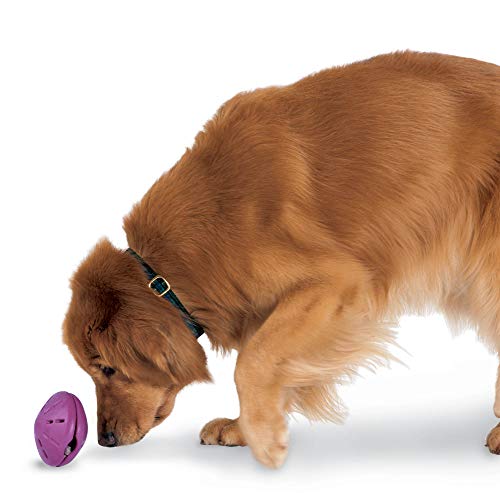 PetSafe Busy Buddy Twist 