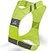 The Rocky Peak NEW Best Reflective Running Vest w/ Pocket - #1 Recommended Safety Gear - Great for Biking, Cycling, Walking for Men & Women (Large)