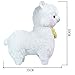 Alpacasso 17