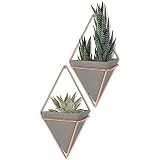 Umbra Trigg Hanging Planter Vase & Geometric Wall Decor Container For Succulent, Air, Mini Cactus, Faux Plants and More, Small, Concrete/Copper