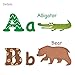 DECOWALL DW-1308 Alphabet ABC and Animals Kids Wall Stickers Wall Decals Peel and Stick Removable Wall Stickers for Kids Nursery Bedroom Living Room (Medium) d?cor
