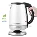 Vianté KET-10 Electric Water Kettle, 1.7 L, Gray/Stainless Steel