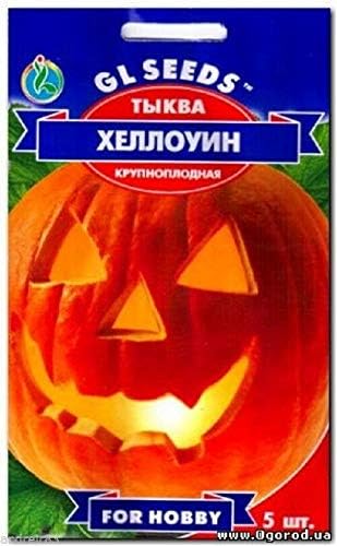 Amazon Co Jp 種子パッケージ カボチャの種ハロウィンかぼちゃハロウィンs1177 ホーム キッチン