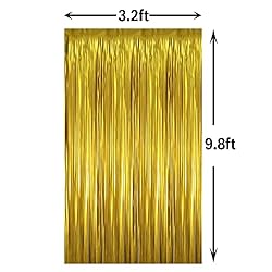 GOER 3.2 ft x 9.8 ft Metallic Tinsel Foil Fringe