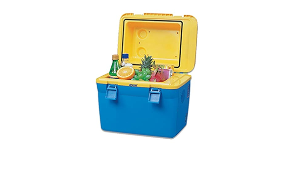 Amazon.es: 18L Nevera Portatil Refrigerador Compacto Personal ...