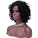 Mersi Wigs for Black Women Aferican American Wigs Short Curly Wigs Afro Kinkys Wig Synthetic Hair Wigs with Wig Cap S005