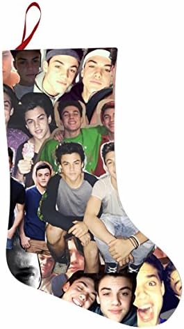 dolan twins Gift Bag Holiday Santa Christmas Stocking Ornaments