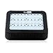 LED Grow Light 300 Watt Hydroponics System,Full Spectrum Greenhouse Garden Indoor Plants Grow Lights Lighting Fixture,High Par and Penetration for Veg and Flower (300W)