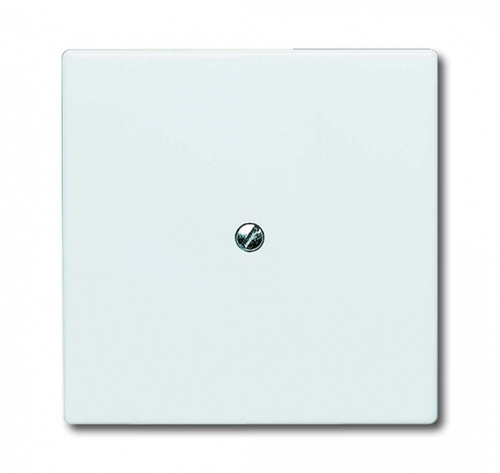 Busch-Jaeger 2138 34 for Blinds Switch