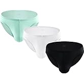 Summer Code Men's Low Rise Hip Briefs Ice Silk Bikini Underwear Ultra-Thin Sweat Absorbing Panties
