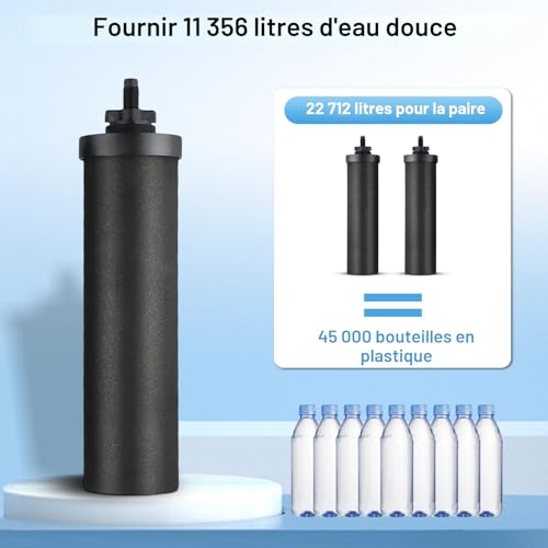 Filtre à eau de rechange, 2 filtre à eau à charbon actif pour filtration par gravité, charbon actif eau purificateur d'éléments de purification pour extérieur filtre eau maison