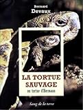 La Tortue sauvage by 