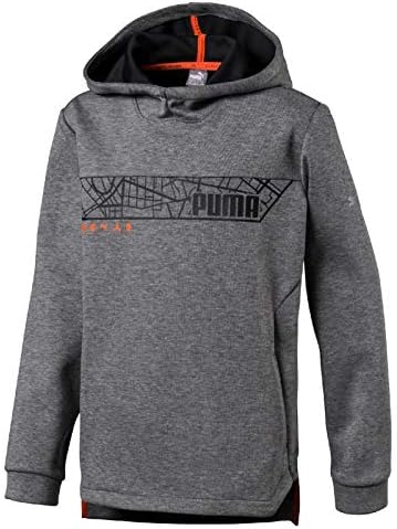 felpe da ragazzo puma