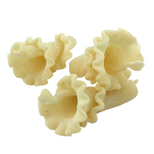 Sfoglini—Organic Durum Semolina Trumpets—Made with Traditional Techniques & Wholesome Organic Grain—Holds Tight to Sauces—6-16oz Boxes