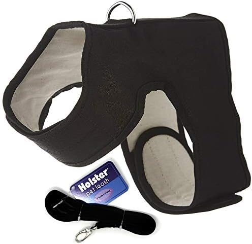 Kitty Cat Holster Harness and Leash Combo, Great for Big and Little Animals