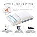 Polar Sleep Memory Foam Pillow for Sleeping,2-in-1 Ventilated Pillow for Neck Pain, for Back, Stomach, Side Sleepers,Hypoallergenic Antimicrobial Ergonomic Orthopedic Cooling Gel Pillow, CertiPUR-US …