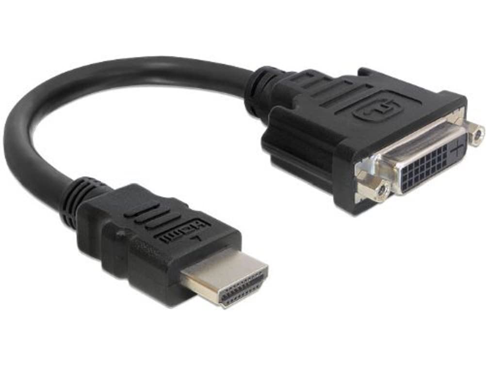 Delock Adaptor Cable HDMI Male to DVI 24+1-Pin Female