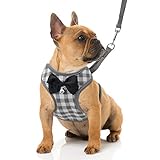RYPET Small Dog Harness and Leash Set - No Pull Pet Harness with Soft Mesh Nylon Vest for Small Dogs and Cats Gray S