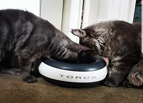 torus pet water bowl