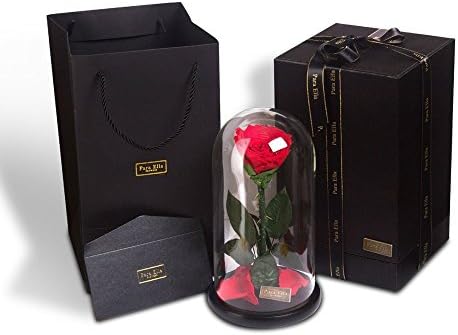 "Beauty and the Beast" Enchanted Rose, Glass Cover Preserved Fresh Rose Flower Immortal Rose - For Valentine's Day, Christmas, Wedding Gifts (Red Rose -Forever)