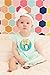 Lucy Darling Little Animal Lover Monthly Stickers