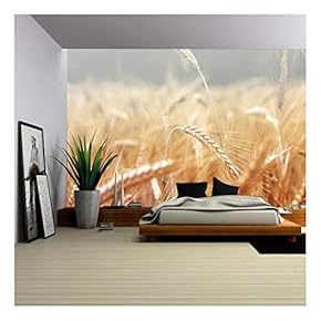 Spikelets of Wheat, Illuminated by Bright Sunshine. Wheat Field - Removable Wall Mural | Self-Adhesive Large Wallpaper - 66x96 inches