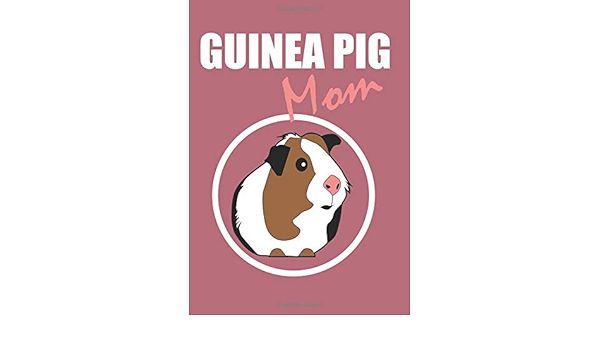 guinea pig lovers