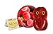 Giant Microbes Flesh Eating (Streptococcus pyogenes) Plush Toy