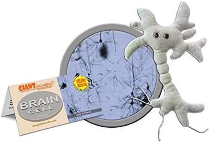 giant microbes brain