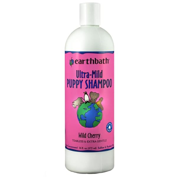 EARTHBATH, ULTRA-MILD WILD CHERRY PUPPY SHAMPOO – EXTRA GENTLE & TEARLESS DOG SHAMPOO, MADE IN USA, DEODORIZING DOG WASH, CRUELTY FREE PUPPY SUPPLIES, SHAMPOO FOR SMELLY DOGS – 16 OZ (1 PACK)