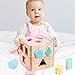 Babe Rock Shape Color Sorter Toddler Toy - Wooden Toddler Toy Color Recognition Shape Sorting Cube Lid for Toddlers Learning Sort and Match Toys for 3 Years Old Boys Girls