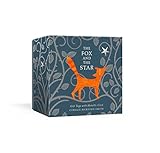 The Fox and the Star Gift Tags with Metallic Cord: 10 Foil-Stamped Gift Tags with Room on the Back for Personalizing by Coralie Bickford-Smith