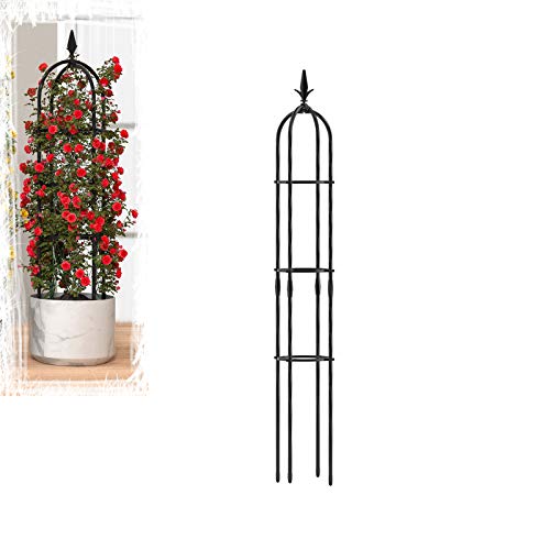 CJSWT 180cm Garten Obelisken Trellis, Rankhilfe Rankgerüst Kletterpflanzen, Trellis Unterstützung Metallrahmen, Outdoor…