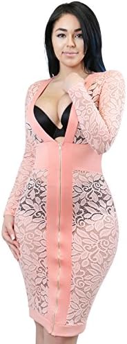 NY Closet Women's Romantic Lace See Through V Neck Zip Down Dress (SMALL, PINK)
