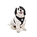 Gooby - Soft Mesh Harness, Small Dog Harness with Breathable Mesh, Black, Large