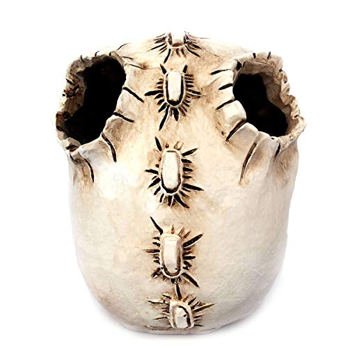 Skull Office Stationery Holder - Image 7