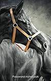 Password notebook: Small internet address and password logbook / journal / diary - Black horse cover by Keep Track Books